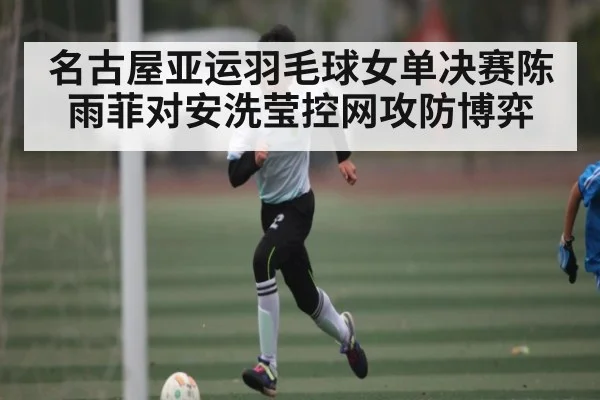 名古屋亚运羽毛球女单决赛陈雨菲对安洗莹控网攻防博弈